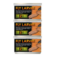 Exo Terra Tinned Fly Larvae 34g Bulk (3x Tins)