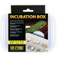 Exo Terra Incubation Box