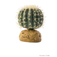 Exo Terra Barrel Cactus Small