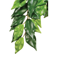 Exo Terra Hanging Ficus Silk Plant Large