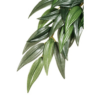 Exo Terra Hanging Ruscus Silk Plant Large