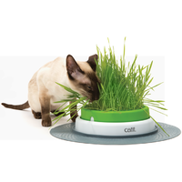 Catit 2.0 Senses Grass Planter