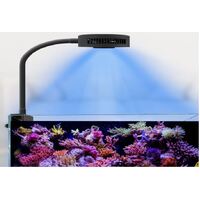 Spectra Aqua Knight Aquarium Light V2