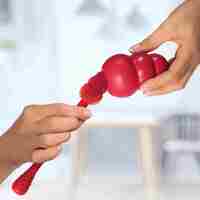 KONG Dog Toy Brush Cleaner