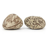 AllPet Rock Swan Rock 1kg