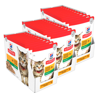 Hills Cat Chicken Kitten Pouch 85g 3x Boxes (36x Pouches)