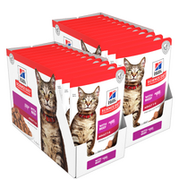 Hill's Adult Cat Beef Wet Food Pouches 24x85g