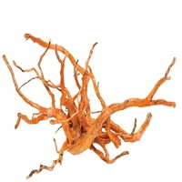 Gold Vine Driftwood Extra Large Rare