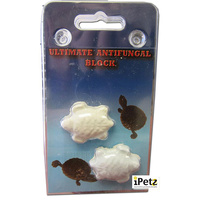 Anti Fungal Block for Reptiles