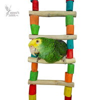Giant Ladder Toy