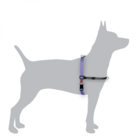 Black Dog Balance Harness Purple Mini