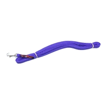 Blackdog Long Lead Mini 5m Purple