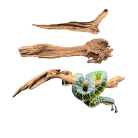 Reptile Log Medium