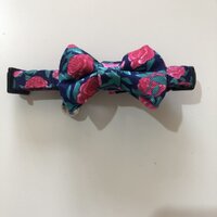 Soapy Moose Neoprene Evelyn Kitten Collar