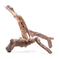 Java Reptile Branch Large