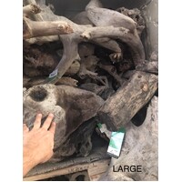 Nino's Java Light Reptile Driftwood Large