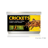 Exo Terra Tinned Crickets Small 34g