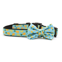Soapy Moose Collar Neoprene Pine Slices XS with Bow