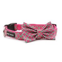 Soapy Moose Collar Neoprene Watermelon XS with Bow