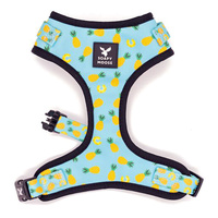 Soapy Moose Adjustable Harness Pineapple XS