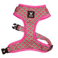 Soapy Moose Adjustable Harness Watermelon XS