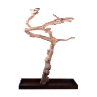 Bird Floor Play Stand Java Wood Med