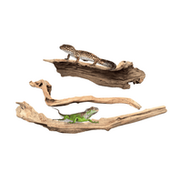 Reptile Log Large