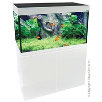Brilliance 120 286L White