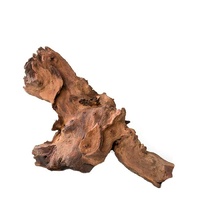 Reptile Driftwood Mopani Medium