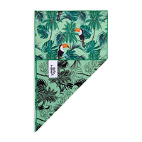 Indie Boho Tropical Toucan Pet Towel