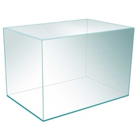 small glass tank