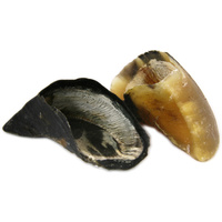 Cow Hooves (each)