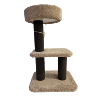 Cat Scratcher Prince