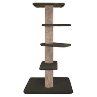 Cat Scratcher Azreal
