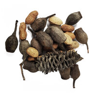 Mixed Foraging Nuts Pack