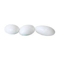 Dummy Poultry Egg (each)