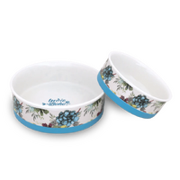 Succulent Medley - Ceramic Dog Bowls Medium 15cm