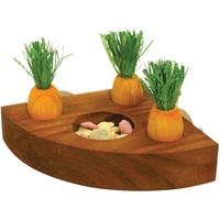 Rosewood Carrot Toy 'n' Treat Holder