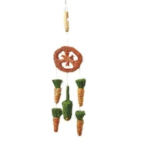 Pipkins Guinea Pig Loofah & Veg Mobile Toy 30g