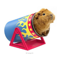 HayPigs Cavy Cannonball Small