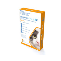 Revolution Plus Medium Cat 2.6-5kg (6 Pack)