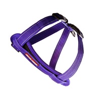 EzyDog Chest Plate Harness Purple Medium