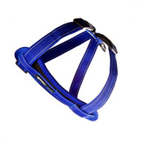 EzyDog Chest Plate Harness Blue Small
