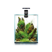 Aquel Shrimp Set 30 Day & Night Black