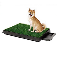 Pet Potty Toilet Tray 64 x 51cm