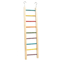 Ladder 9 Step 50cm Coloured