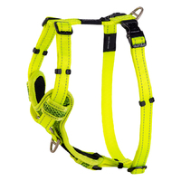 Harness Rogz Control Yellow Med