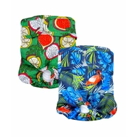 Washable Dog Nappies 2pk Medium Blue/Green