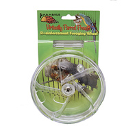 Featherland Paradise Foraging Wheel Bird Toy