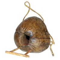 Whole Coconut Nest